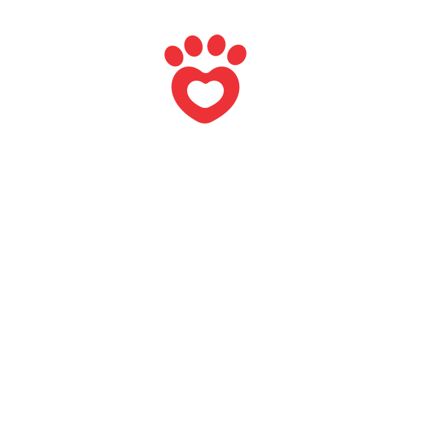 Big Buddy